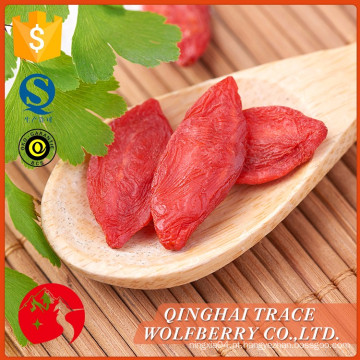 Níspero a granel, wolfberries orgânicos, amostra grátis de baga de goji